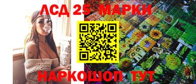 СК Ярославль