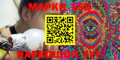 СК Ярославль