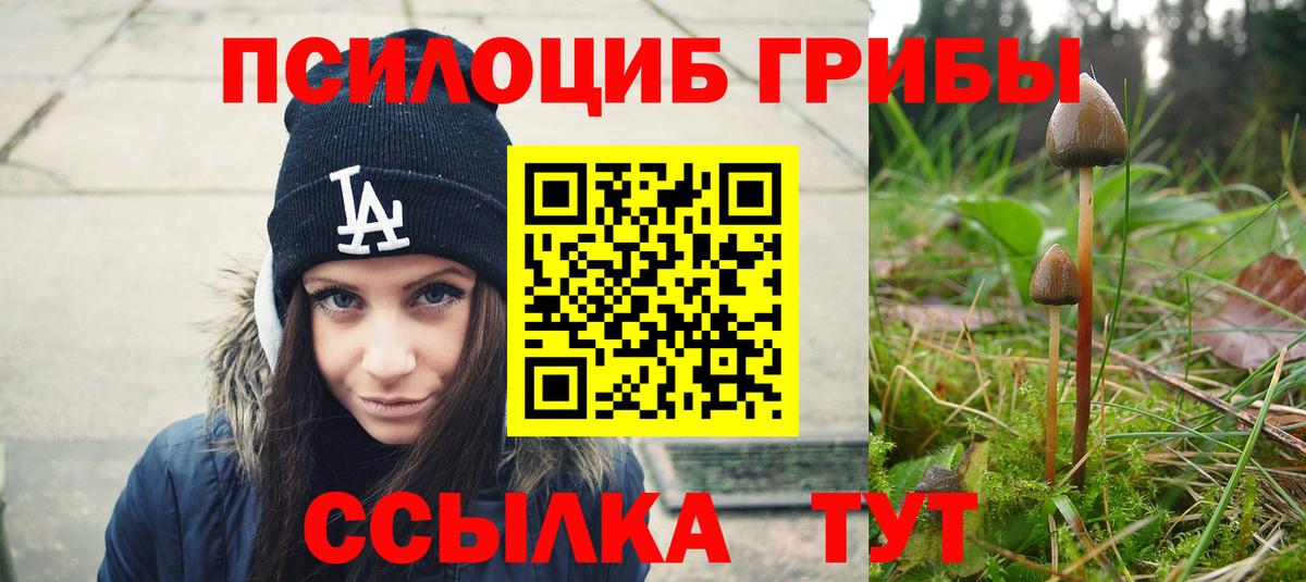 Псилоцибиновые грибы Cubensis Заволжье