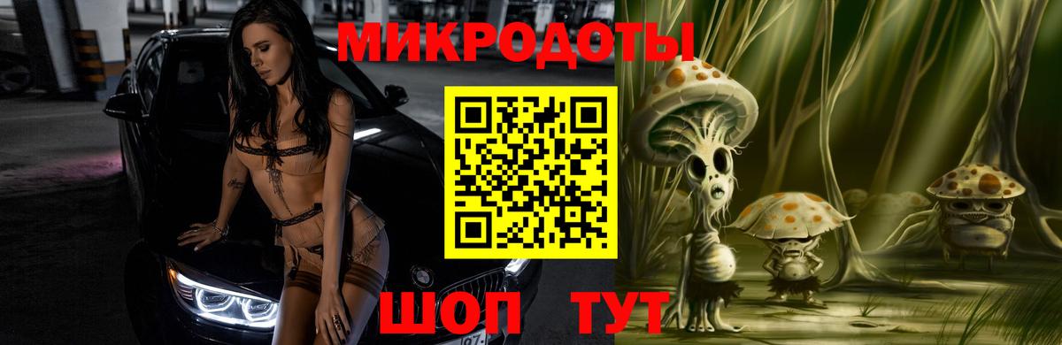 Заволжье  Псилоцибиновые грибы Cubensis  Галлюциногенные грибы Psilocybe  Вход с VPN 
